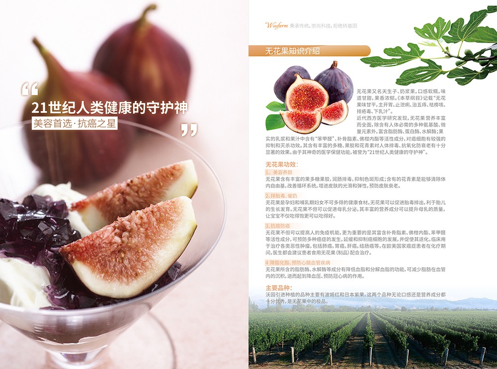 農(nóng)產(chǎn)品畫冊(cè)設(shè)計(jì),農(nóng)副產(chǎn)品畫冊(cè)設(shè)計(jì)公司 農(nóng)產(chǎn)品畫冊(cè)設(shè)計(jì),農(nóng)副產(chǎn)品畫冊(cè)設(shè)計(jì)公司