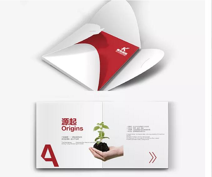 畫(huà)冊(cè)宣傳設(shè)計(jì)