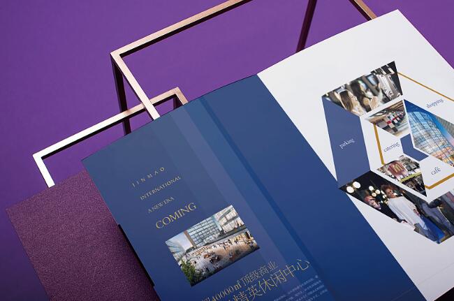 廣州琶洲會展畫冊設計 廣州琶洲會展畫冊設計