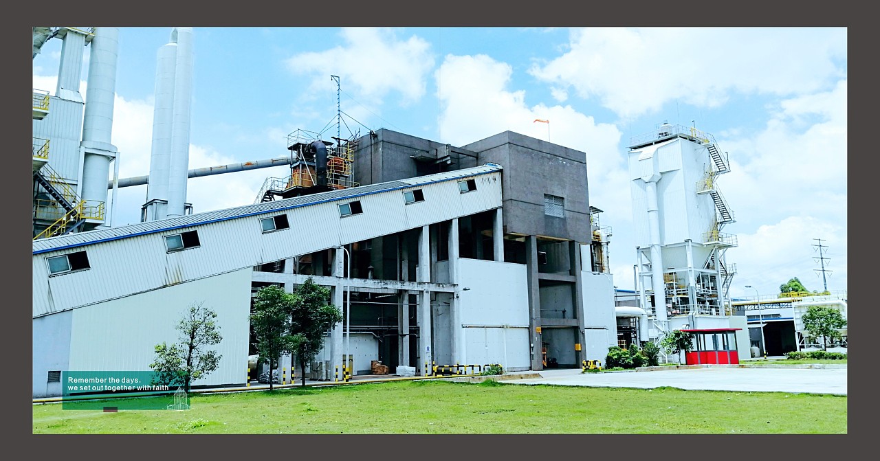 廣州古柏紀念冊設計圖3 廣州古柏紀念冊設計圖3