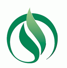 集團(tuán)logo設(shè)計