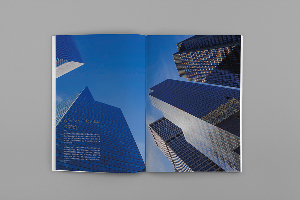 科技畫冊設(shè)計(jì)可以輔佐企業(yè)完結(jié)整改企業(yè)形象的整體設(shè)計(jì) 科技畫冊設(shè)計(jì)可以輔佐企業(yè)完結(jié)整改企業(yè)形象的整體設(shè)計(jì)