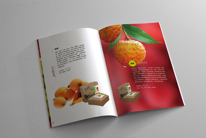 宣傳冊(cè)設(shè)計(jì)一般一頁(yè)多少錢？宣傳冊(cè)的特點(diǎn)有哪些？