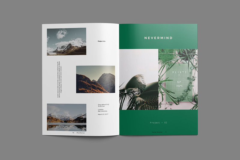 畫冊設(shè)計上的圖片為什么需要專業(yè)拍攝 畫冊設(shè)計上的圖片為什么需要專業(yè)拍攝