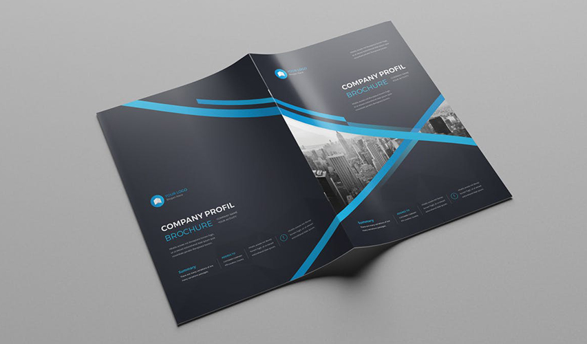 哪里有畫冊制作公司? 哪里有畫冊制作公司?