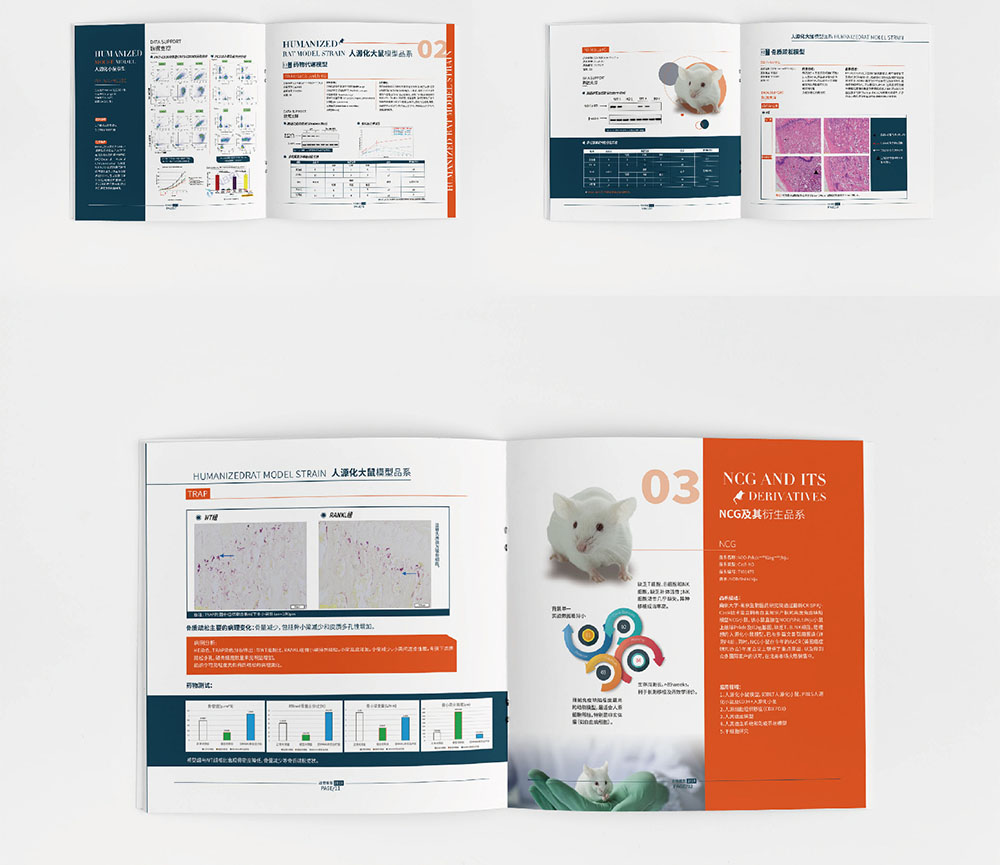 模型企業畫冊設計,模型企業畫冊設計公司 模型企業畫冊設計,模型企業畫冊設計公司