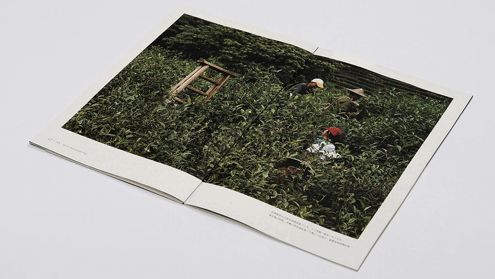 茶葉畫冊設計,茶葉畫冊設計公司 茶葉畫冊設計,茶葉畫冊設計公司