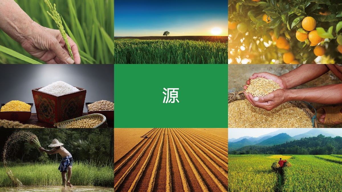 農產品品牌設計技巧有哪些？怎樣塑造品牌形象