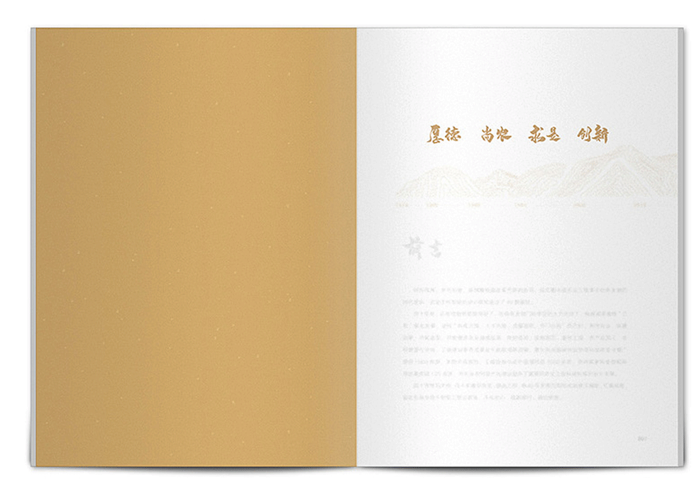 高端企業(yè)周年紀(jì)念冊 高端企業(yè)周年紀(jì)念冊