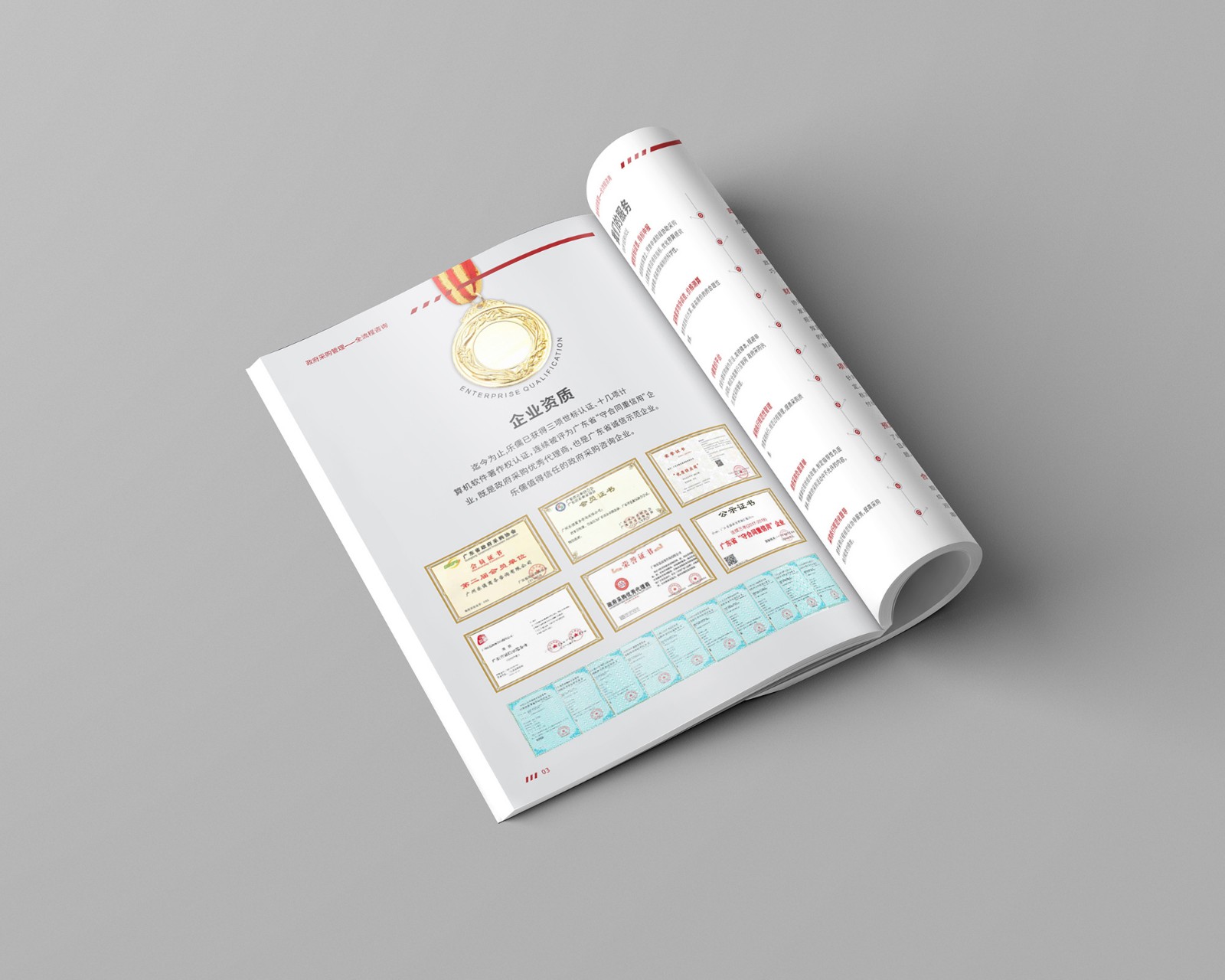 政府采購公司畫冊設計 政府采購公司畫冊設計