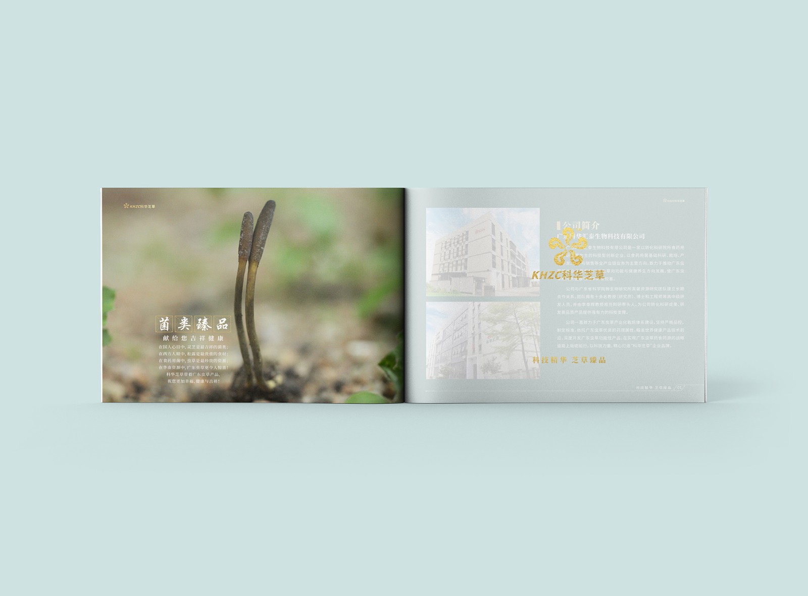 畫冊設計公司 畫冊設計公司