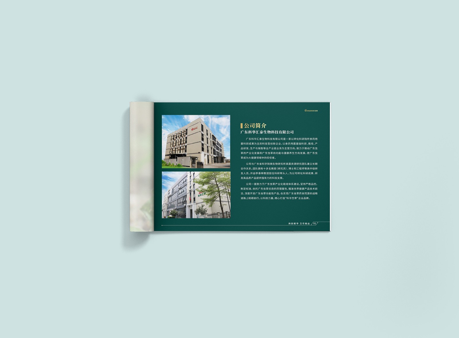 畫冊設計公司 畫冊設計公司