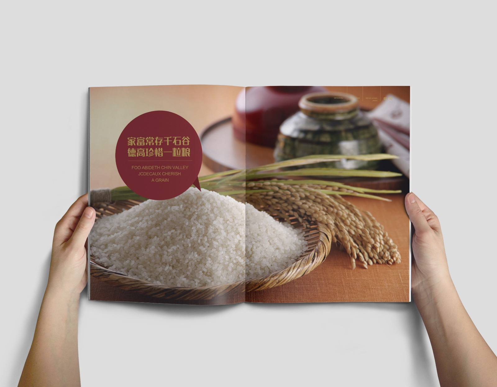 大米畫冊設計,大米產品畫冊設計,大米招商畫冊設計 大米畫冊設計,大米產品畫冊設計,大米招商畫冊設計