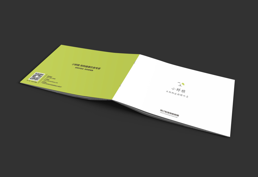 產(chǎn)品介紹手冊設計 產(chǎn)品介紹手冊設計