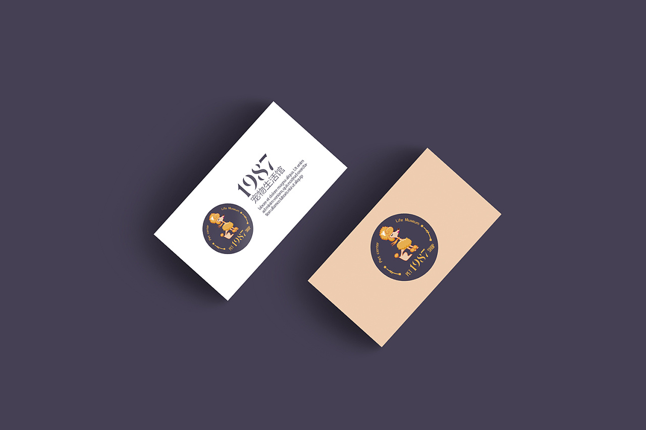 封面畫冊設計哪種好用 封面畫冊設計哪種好用