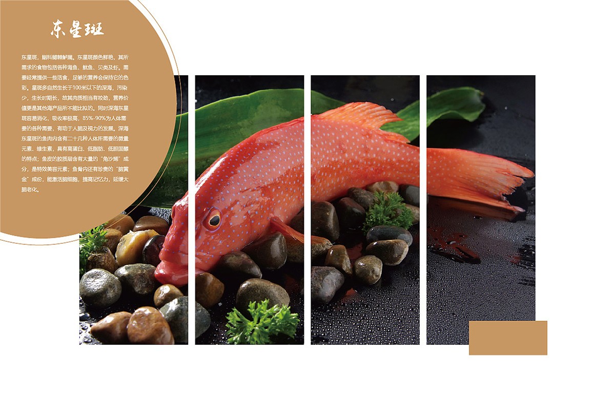 生鮮類產品宣傳冊設計,生鮮類產品宣傳冊設計公司 生鮮類產品宣傳冊設計,生鮮類產品宣傳冊設計公司