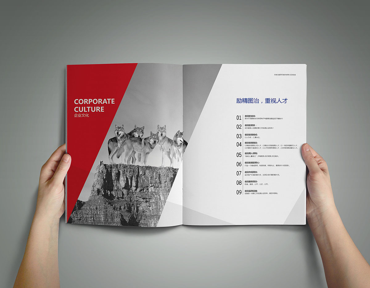 檢測行業(yè)畫冊設計,檢測行業(yè)畫冊設計公司 檢測行業(yè)畫冊設計,檢測行業(yè)畫冊設計公司