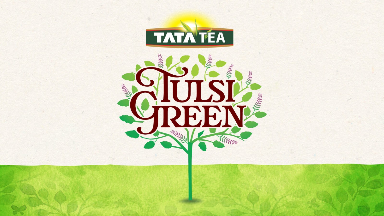 保健茶葉包裝設(shè)計,花茶包裝設(shè)計公司,古柏設(shè)計 保健茶葉包裝設(shè)計,花茶包裝設(shè)計公司,古柏設(shè)計