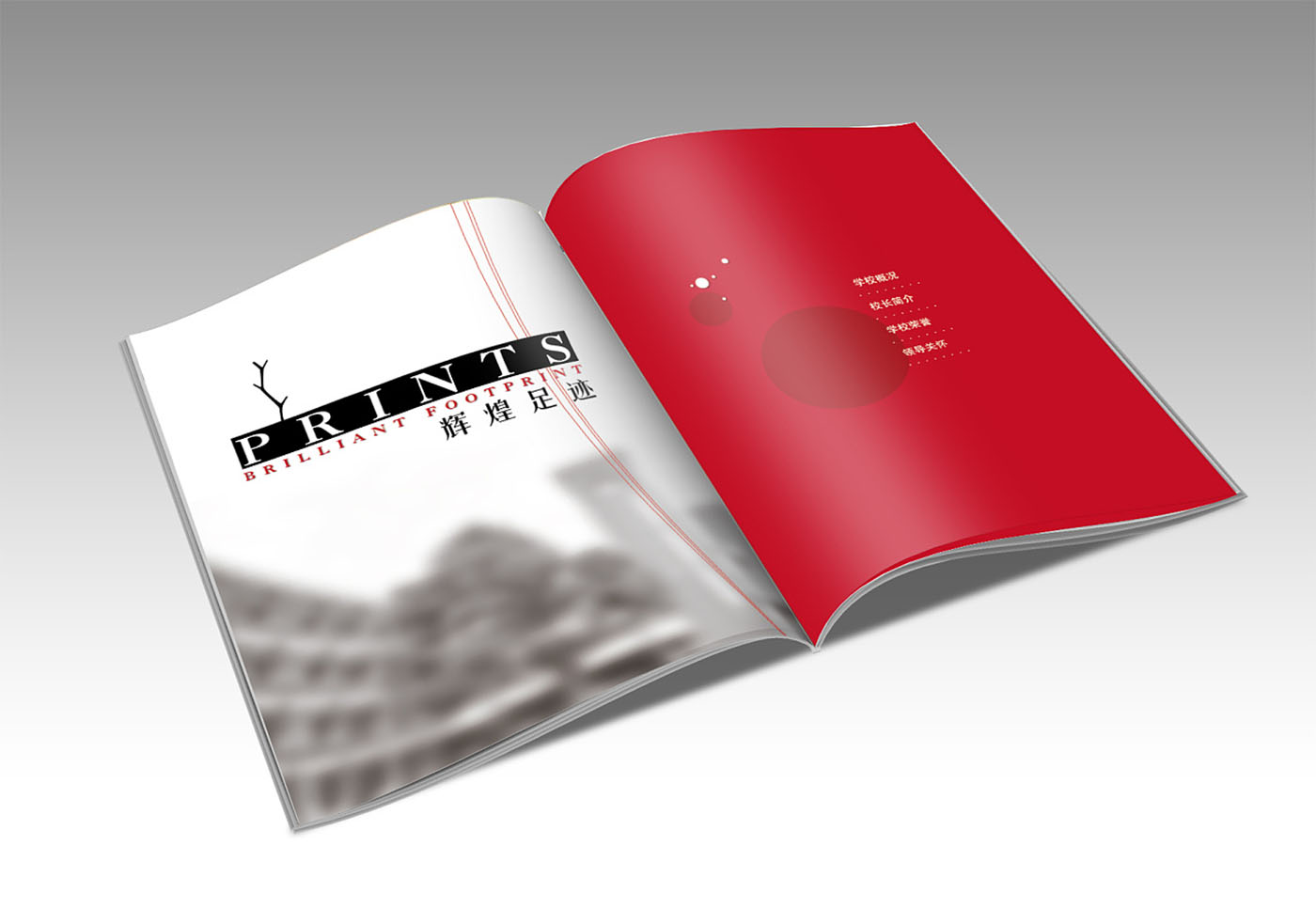 學校周年紀念冊設計-企業紀念畫冊設計公司 學校周年紀念冊設計-企業紀念畫冊設計公司