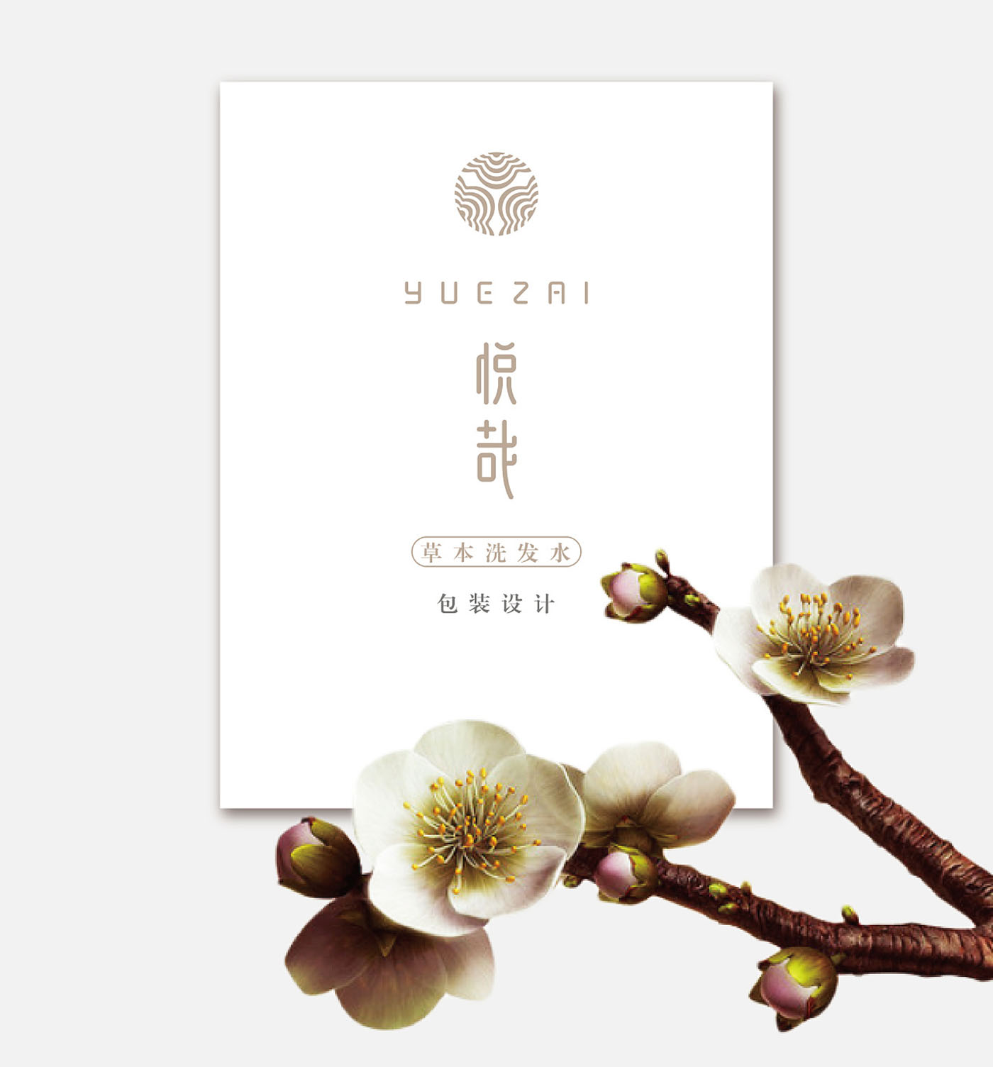 草本洗發(fā)水包裝設(shè)計(jì)-洗發(fā)水包裝設(shè)計(jì)公司 草本洗發(fā)水包裝設(shè)計(jì)-洗發(fā)水包裝設(shè)計(jì)公司