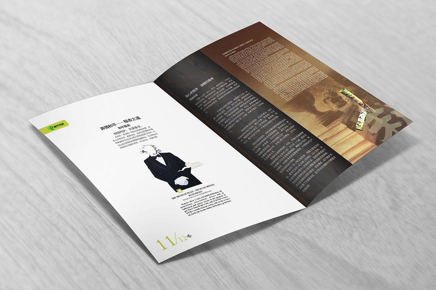 物業(yè)管理畫(huà)冊(cè)設(shè)計(jì),物業(yè)管理畫(huà)冊(cè)設(shè)計(jì)公司 物業(yè)管理畫(huà)冊(cè)設(shè)計(jì),物業(yè)管理畫(huà)冊(cè)設(shè)計(jì)公司