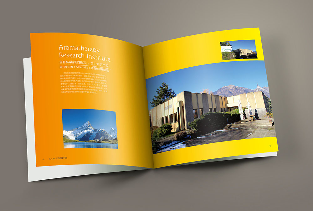 網(wǎng)紅化妝品畫冊封面設(shè)計,網(wǎng)紅化妝品內(nèi)容模板設(shè)計公司 網(wǎng)紅化妝品畫冊封面設(shè)計,網(wǎng)紅化妝品內(nèi)容模板設(shè)計公司