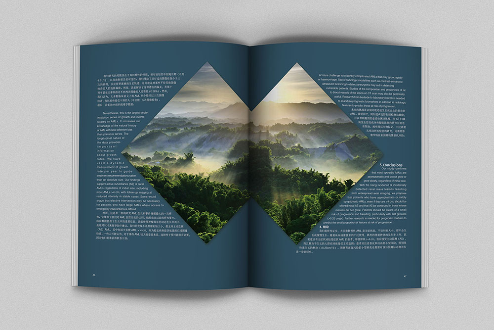 創(chuàng)意畫冊內(nèi)頁設(shè)計,創(chuàng)意畫冊內(nèi)頁設(shè)計案例欣賞 創(chuàng)意畫冊內(nèi)頁設(shè)計,創(chuàng)意畫冊內(nèi)頁設(shè)計案例欣賞