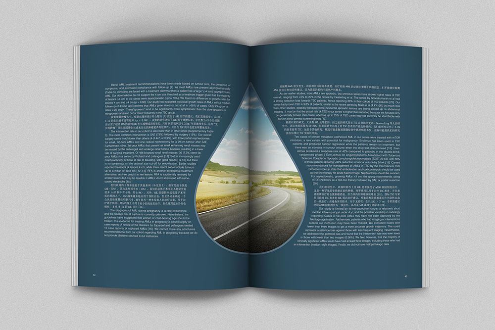 創(chuàng)意畫冊內(nèi)頁設(shè)計,創(chuàng)意畫冊內(nèi)頁設(shè)計案例欣賞 創(chuàng)意畫冊內(nèi)頁設(shè)計,創(chuàng)意畫冊內(nèi)頁設(shè)計案例欣賞