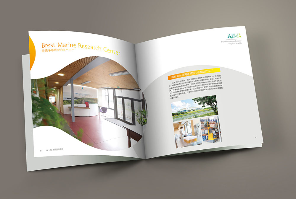 網(wǎng)紅化妝品畫冊封面設(shè)計,網(wǎng)紅化妝品內(nèi)容模板設(shè)計公司 網(wǎng)紅化妝品畫冊封面設(shè)計,網(wǎng)紅化妝品內(nèi)容模板設(shè)計公司