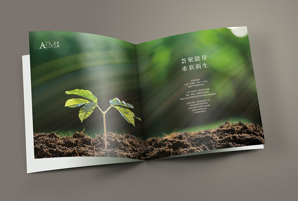 網(wǎng)紅化妝品畫冊封面設(shè)計,網(wǎng)紅化妝品內(nèi)容模板設(shè)計公司 網(wǎng)紅化妝品畫冊封面設(shè)計,網(wǎng)紅化妝品內(nèi)容模板設(shè)計公司