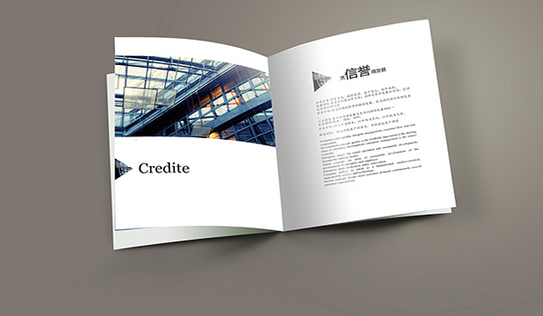 畫冊設計的傳播著企業品牌形象 畫冊設計的傳播著企業品牌形象
