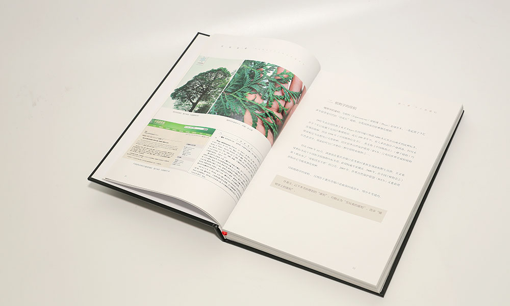 怎么學畫冊設計制作多大合適?