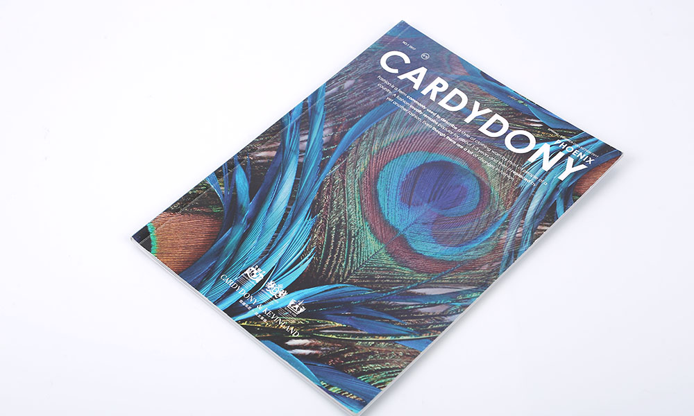 宣傳畫冊設計制作多少錢？